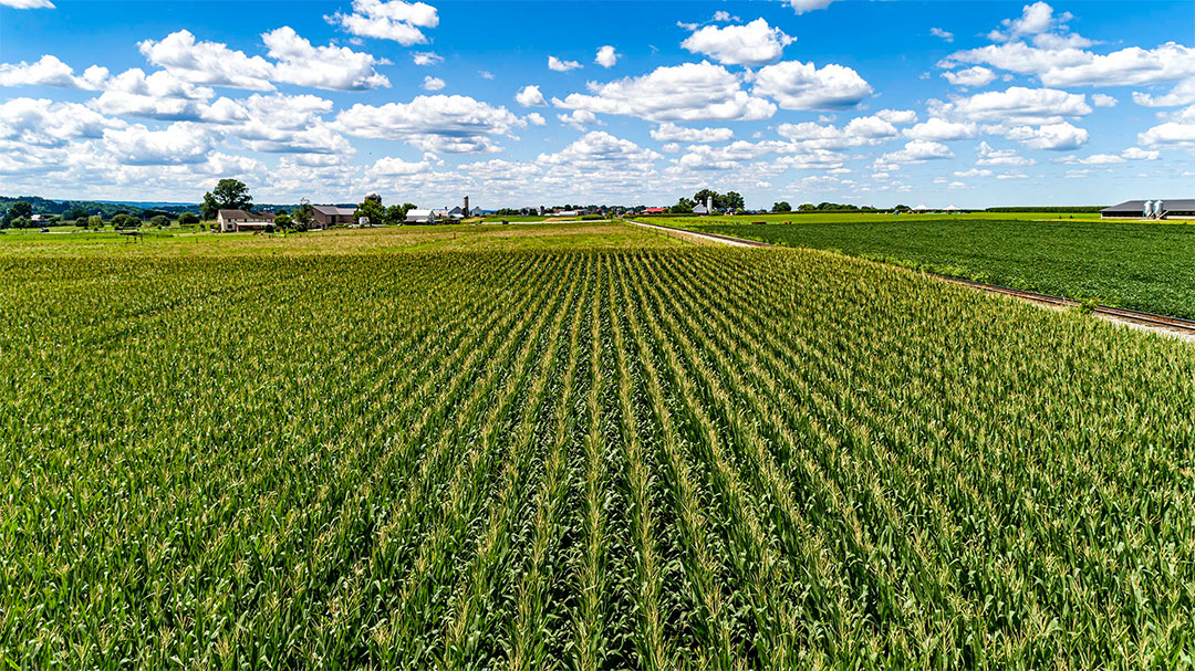 Ag drones in Reidsville